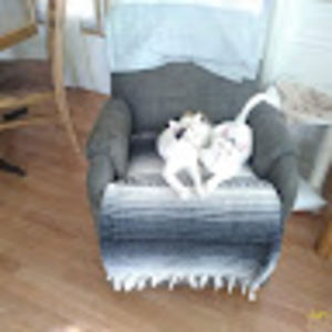 Meet your Posher, Eve